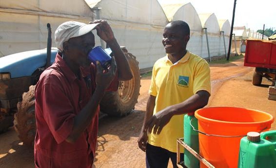 A man rides around a bike and distributes tea to workers on a flower farm.